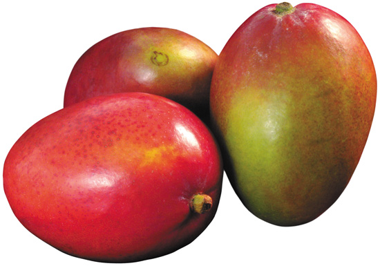 Плоды манго